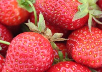 Sommarmarknad