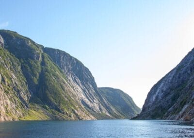 Fjordcruise